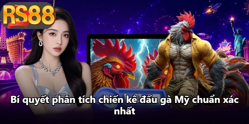 Bí quyết phân tích chiến kê đấu gà Mỹ chuẩn xác nhất