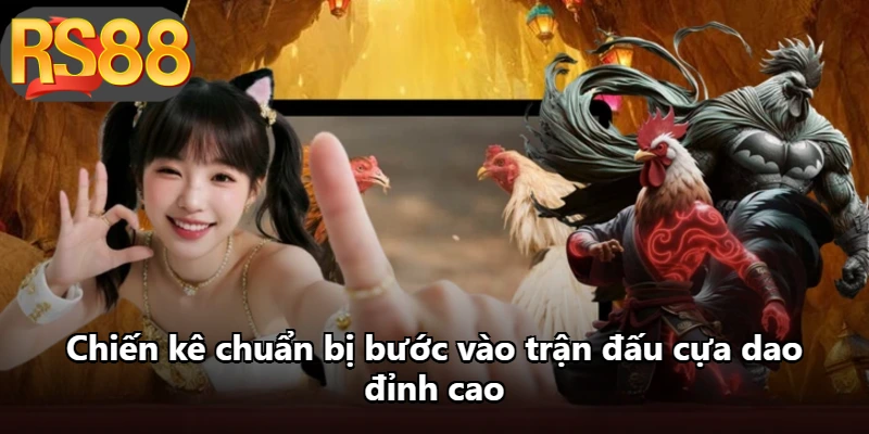 Chiến kê chuẩn bị bước vào trận đấu cựa dao đỉnh cao