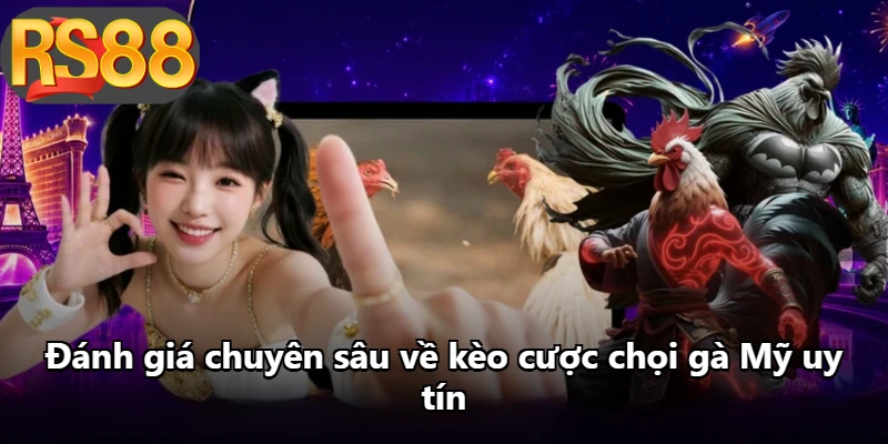 Đánh giá chuyên sâu về kèo cược chọi gà Mỹ uy tín