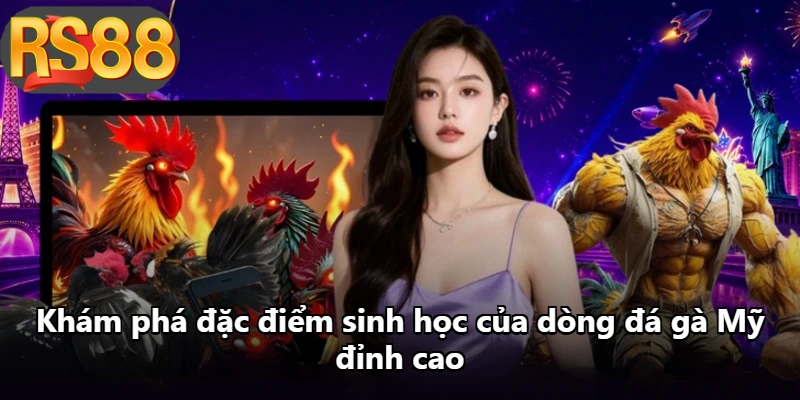 Khám phá đặc điểm sinh học của dòng đá gà Mỹ đỉnh cao