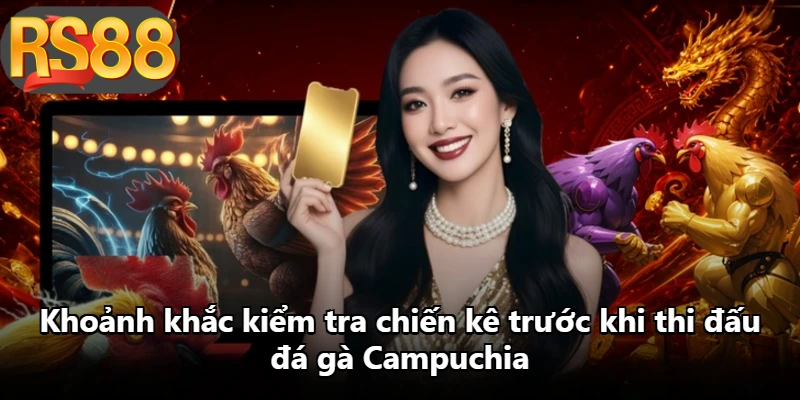 Khoảnh khắc kiểm tra chiến kê trước khi thi đấu đá gà Campuchia