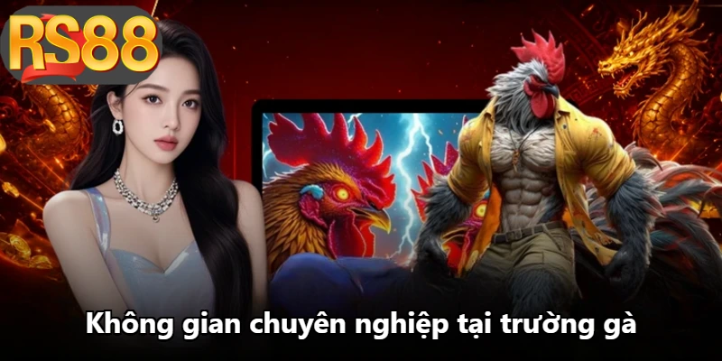 Không gian chuyên nghiệp tại trường gà
