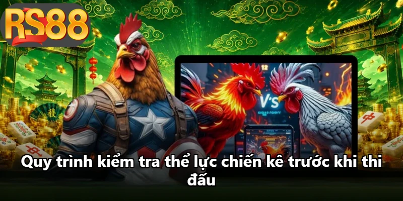 Quy trình kiểm tra thể lực chiến kê trước khi thi đấu
