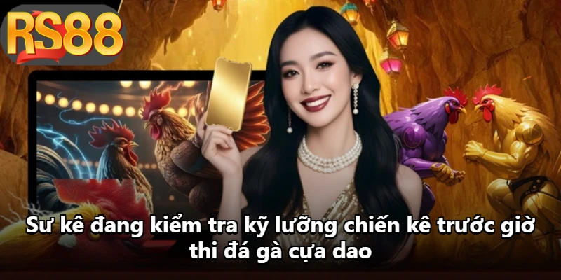 Sư kê đang kiểm tra kỹ lưỡng chiến kê trước giờ thi đá gà cựa dao